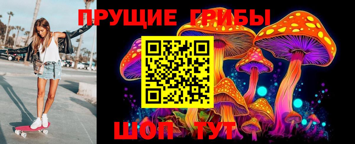 Псилоцибиновые грибы Psilocybine cubensis Курчалой